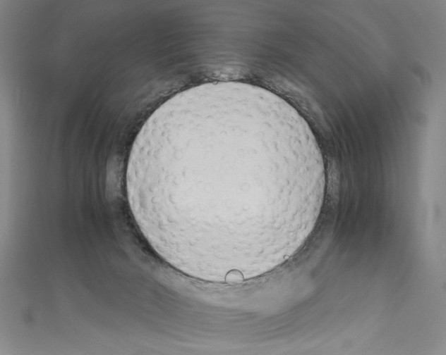 X0000110320030200907021211