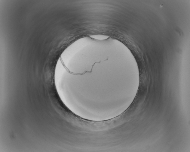 X0000110320031200907021211