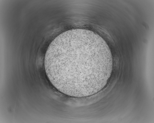 X0000110320033200907021211