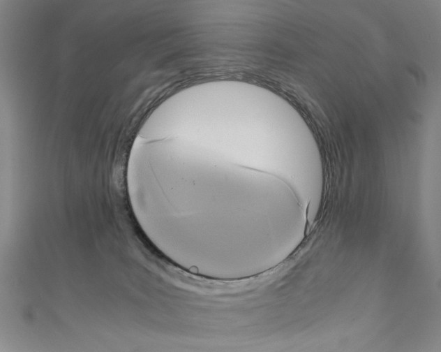 X0000110320035200907021211