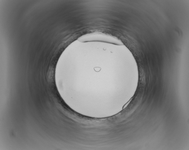 X0000110320036200907021211