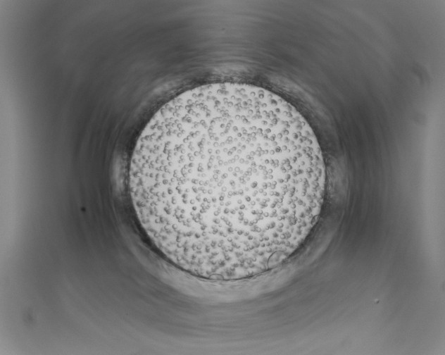 X0000110320038200907021211