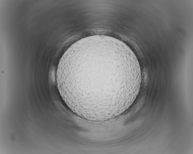 X0000110320042200907021211