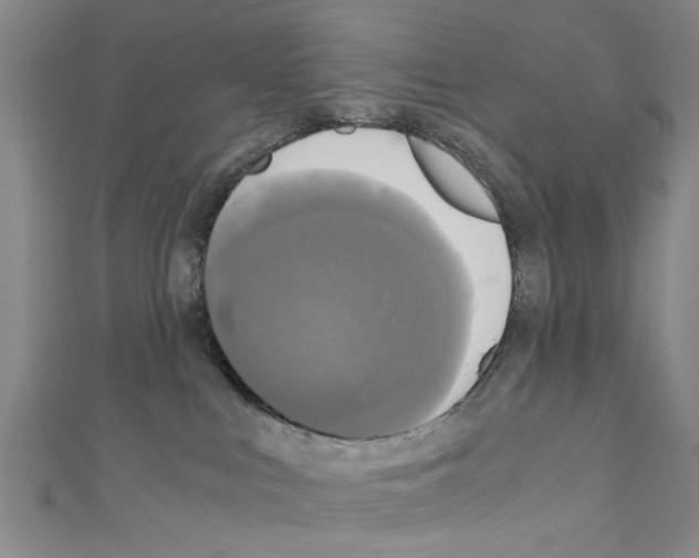 X0000110320043200907021211