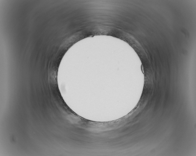 X0000110320045200907021211