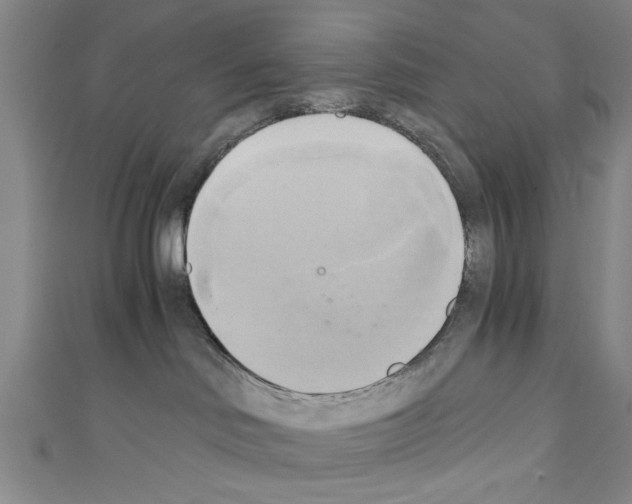 X0000110320046200907021211