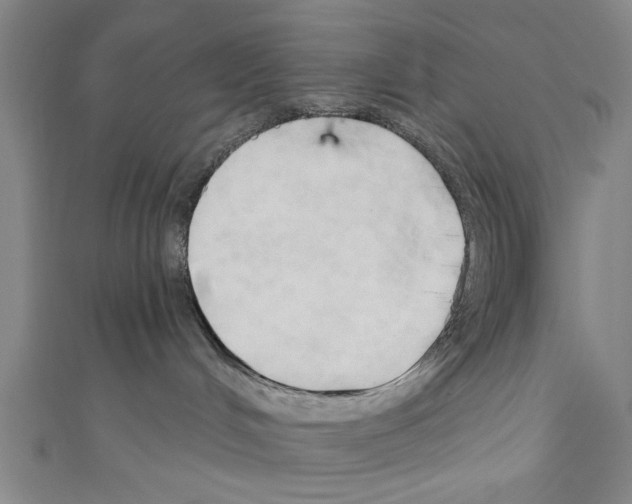 X0000110320048200907021210