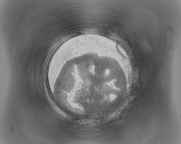 X0000110320049200907021210