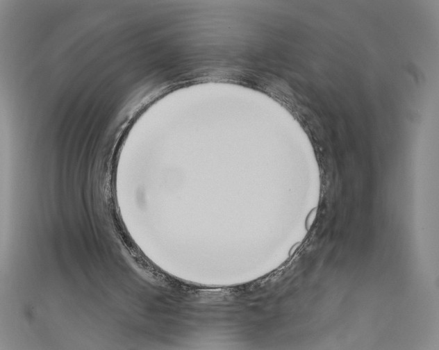 X0000110320050200907021210