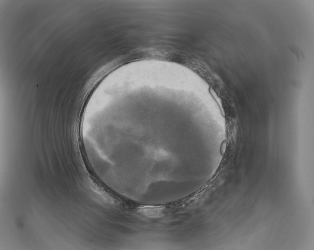 X0000110320051200907021210