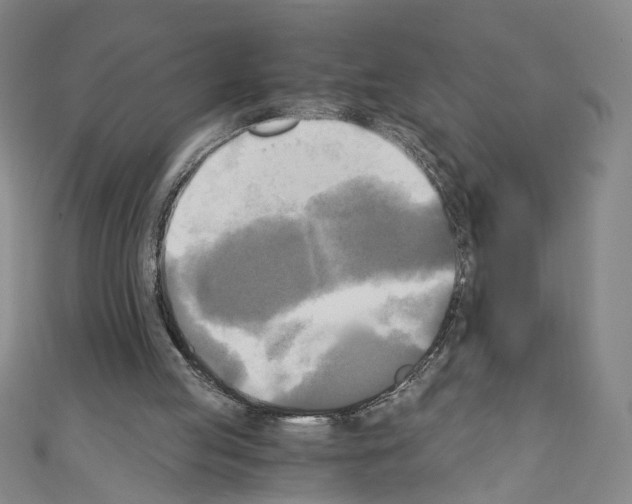 X0000110320053200907021210