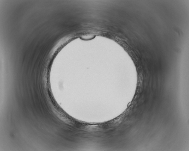 X0000110320054200907021210