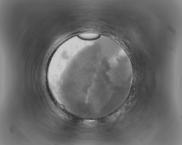 X0000110320055200907021210