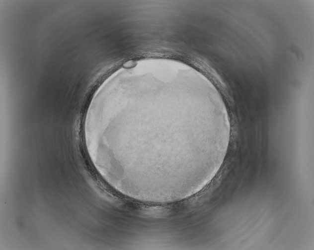 X0000110320058200907021210