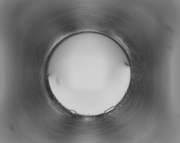 X0000110320060200907021210