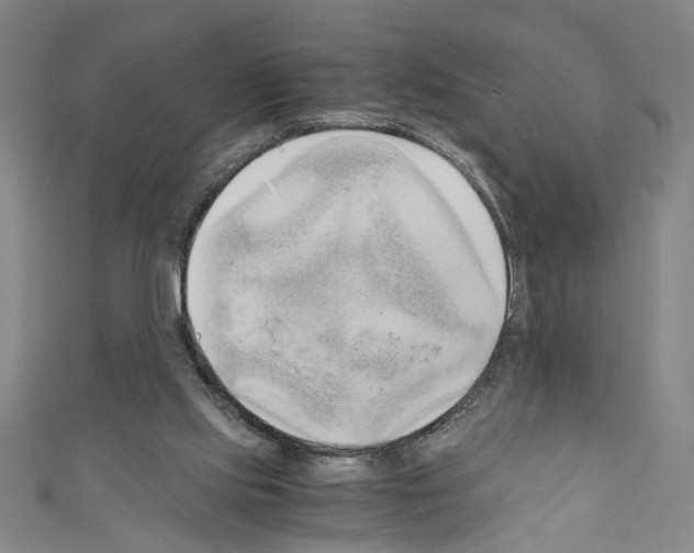 X0000110320061200907021210