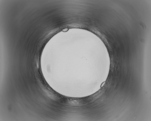 X0000110320062200907021210