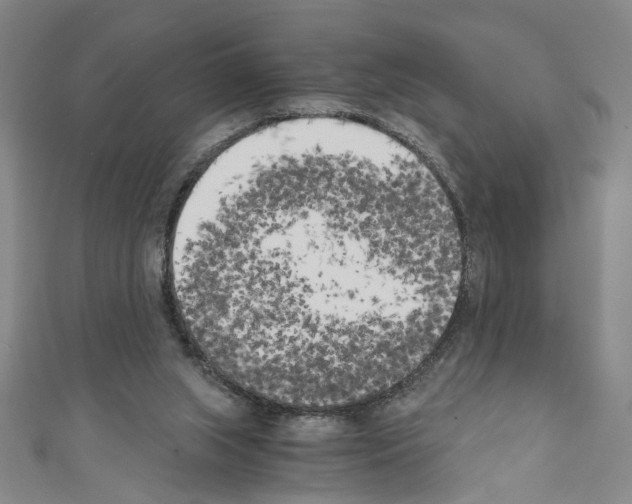 X0000110320063200907021210