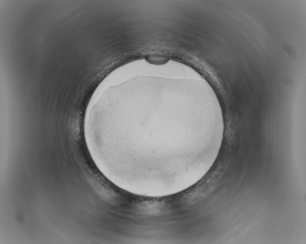 X0000110320065200907021210