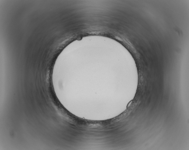 X0000110320066200907021210