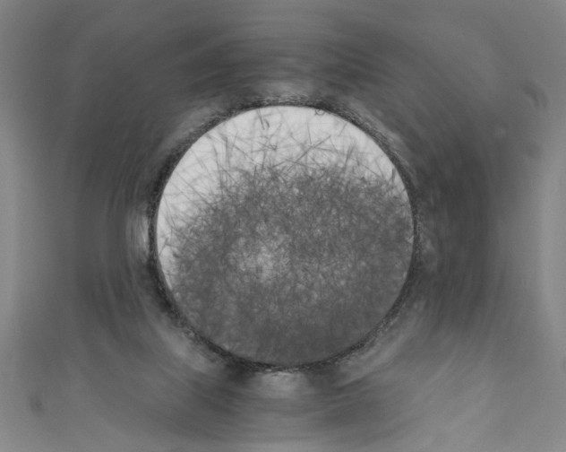 X0000110320067200907021210