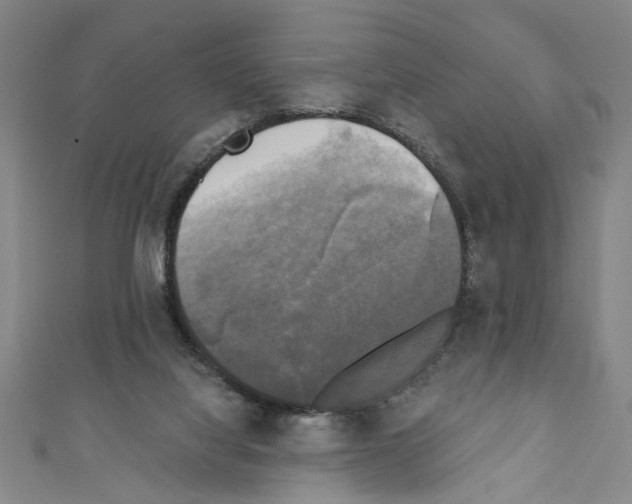 X0000110320068200907021210