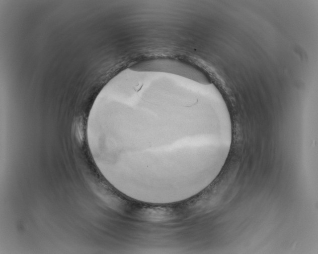 X0000110320069200907021210