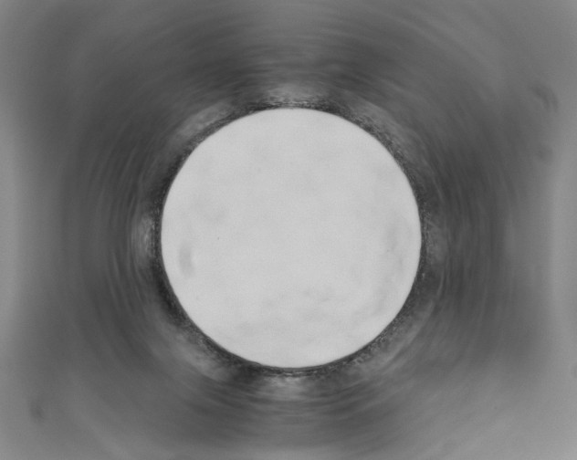 X0000110320071200907021210