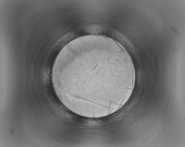 X0000110320073200907021210