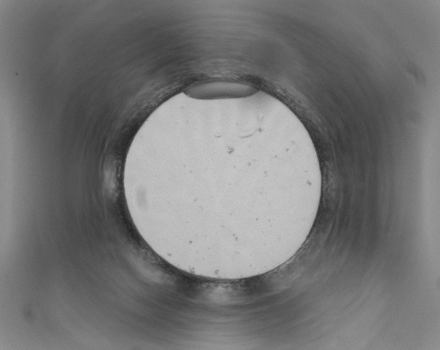 X0000110320074200907021210