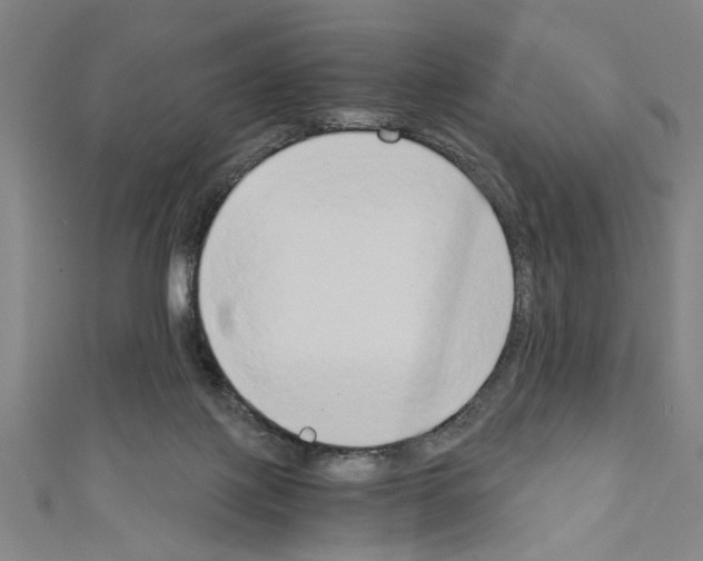 X0000110320075200907021210