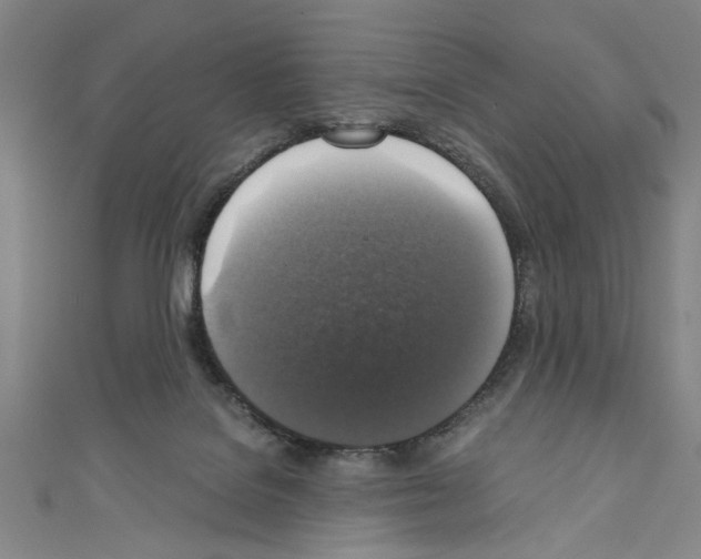 X0000110320076200907021210