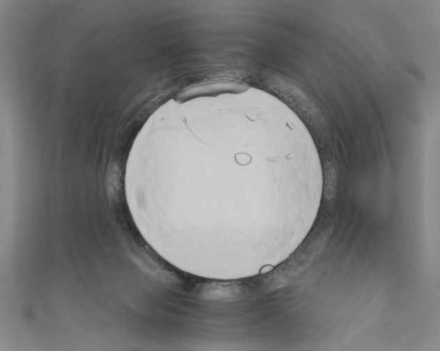 X0000110320077200907021210