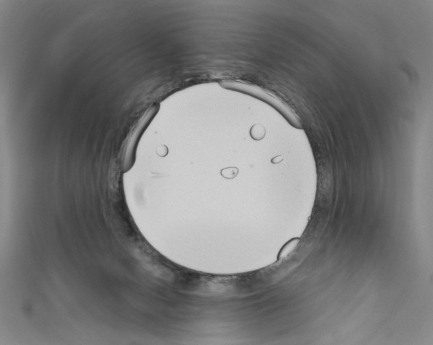 X0000110320078200907021210