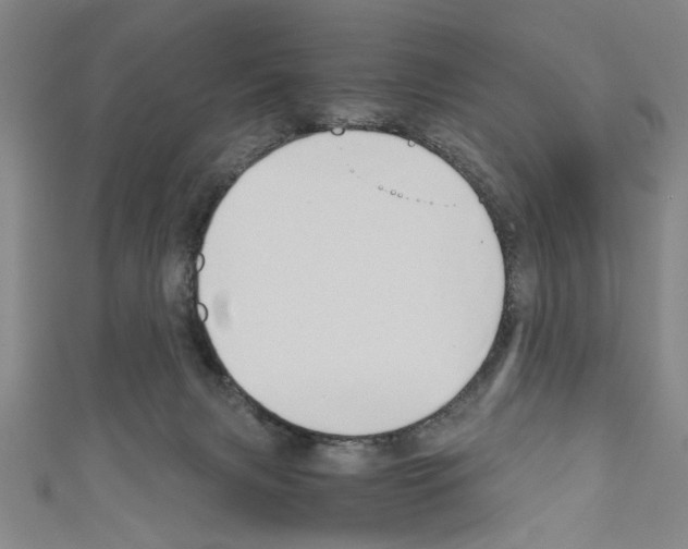 X0000110320079200907021210