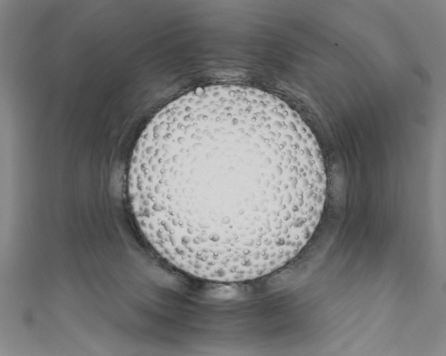 X0000110320083200907021210