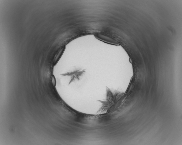 X0000110320084200907021210