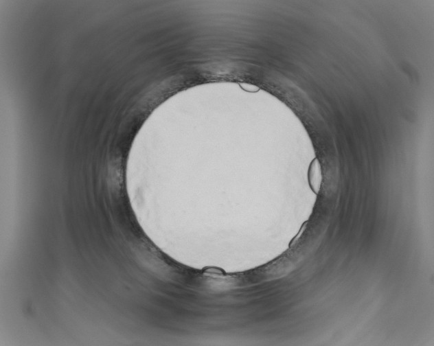 X0000110320085200907021210