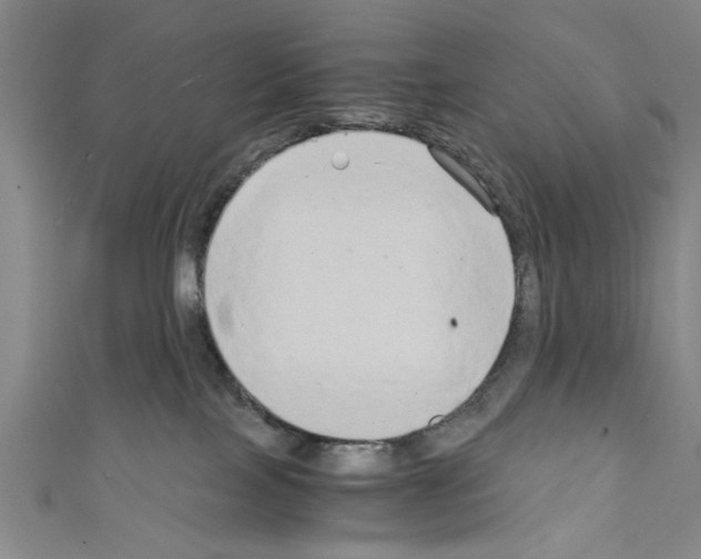 X0000110320089200907021210