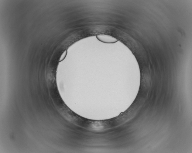 X0000110320091200907021210