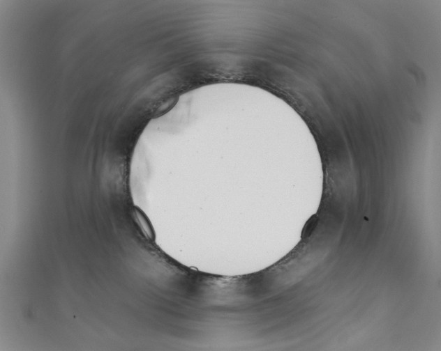 X0000110320092200907021210