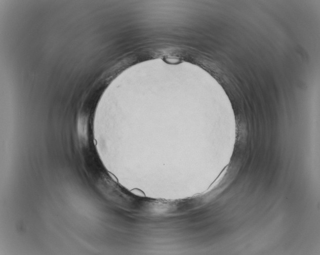 X0000110320094200907021210