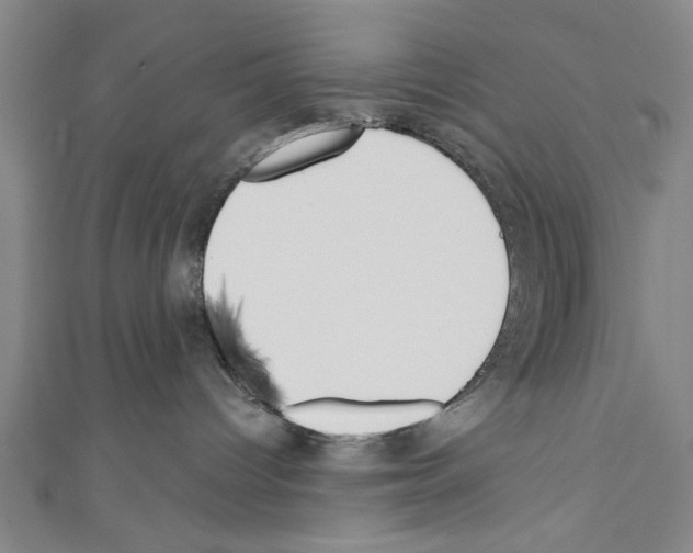 X0000110320096200907021210