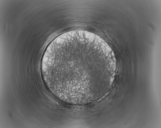 X0000110320099200907021210