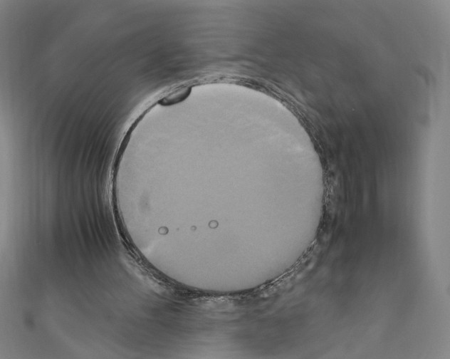 X0000110320100200907021210