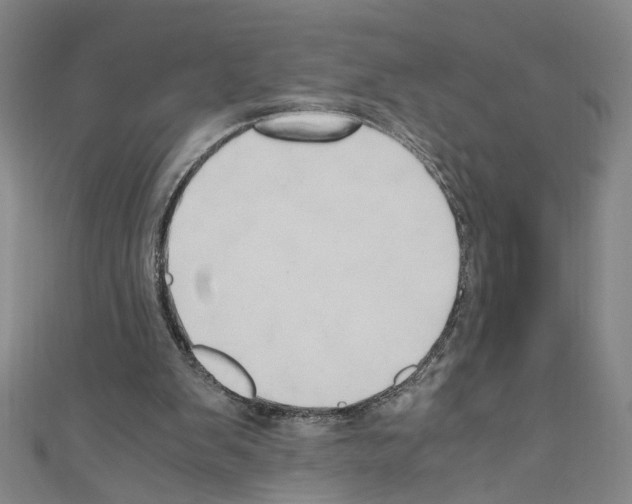 X0000110320103200907021210