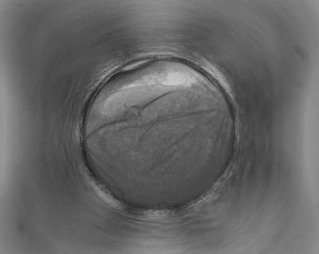 X0000110320105200907021210