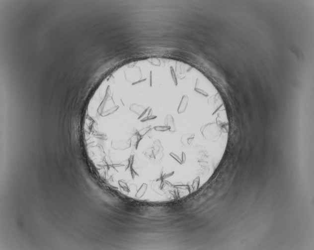 X0000110320107200907021210