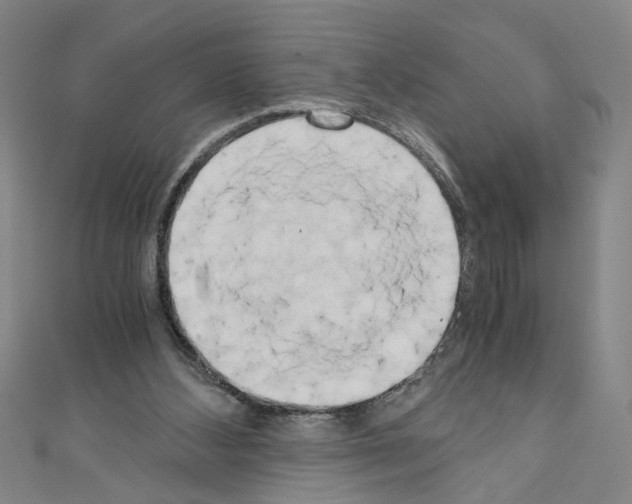 X0000110320108200907021210