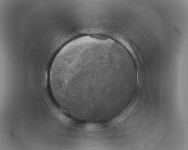 X0000110320109200907021210